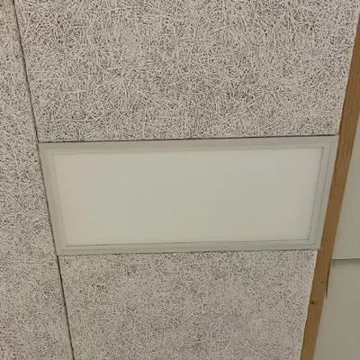 Troldtekt Verlichting